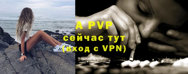 стафф Иннополис