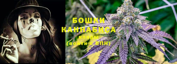 стафф Иннополис